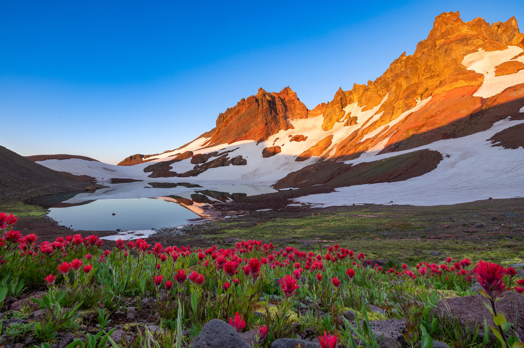 SUNRISE VOLCANO WILDFLOWER BOUQUET